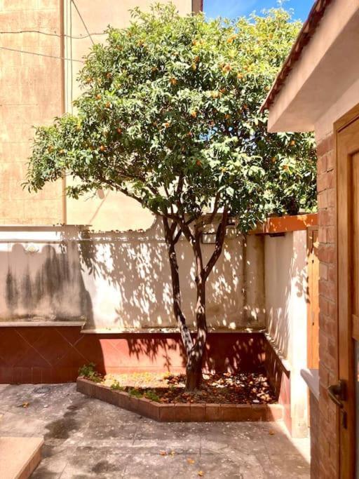 Villa Orlando Mondello Palermo Eksteriør billede